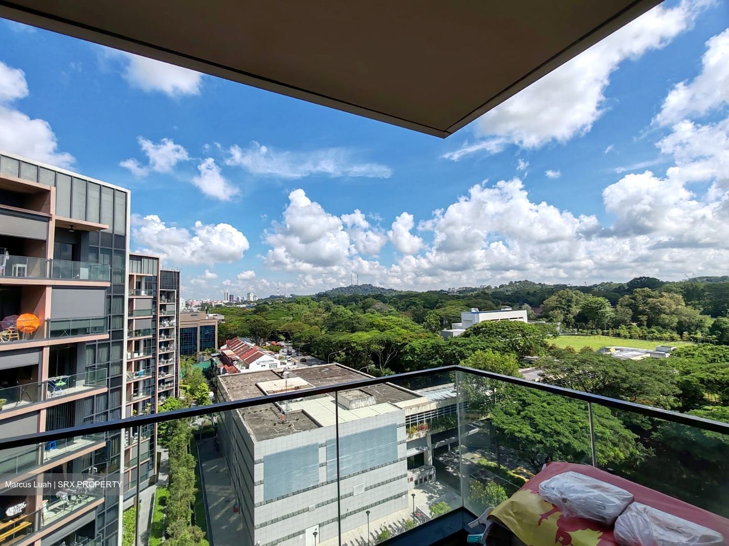 Fourth Avenue Residences (D10), Apartment #563715091